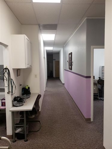 Space #1803669